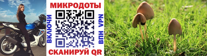 omg как войти  Орёл  Галлюциногенные грибы ЛСД  где продают наркотики 